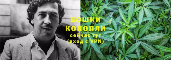шишки Алзамай