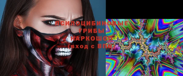 шишки Алзамай