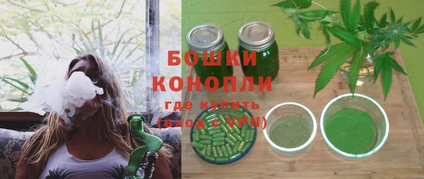 шишки Алзамай