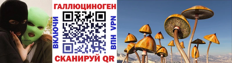 Галлюциногенные грибы Cubensis  Купить закладки  Унеча 