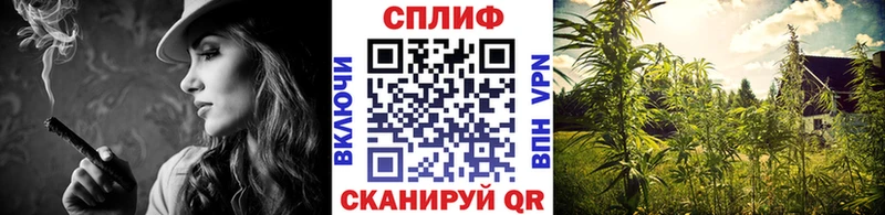 Купить закладки  Унеча  Конопля тримм 